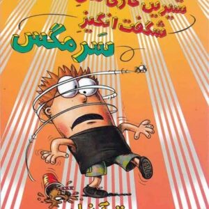 خرید کتاب سرمگس 14 نشر هوپا قیمت کتاب سرمگس 14 با تخفیف