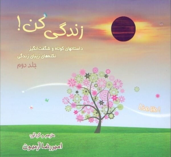 خرید کتاب زندگی کن امیررضا آرمیون جلد دوم قیمت با تخفیف و خلاصه کتاب
