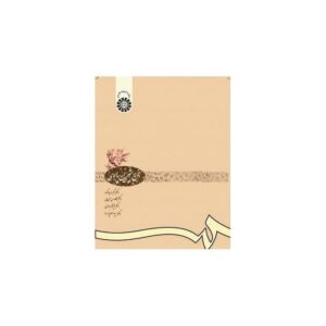 خرید کتاب سخن شیرین پارسى دکتر اکبر صیادکوه دکتر کاووس حسن لى با تخفیف