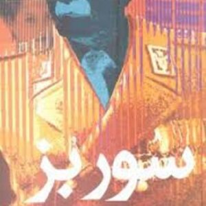 خرید کتاب سور بز ماریو بارگاس یوسا قیمت با تخفیف و خلاصه کتاب