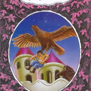 خرید کتاب آینه سحرآمیز (قصه های شیرین پریان)