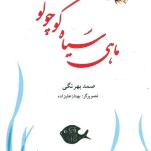 کتاب ماهی سیاه کوچولو صمد بهرنگی قیمت با تخفیف ویژه