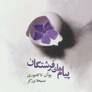 خرید کتاب پیام های فرشتگان ترجمه مسیحا برزگر قیمت با تخفیف و خلاصه
