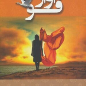 خرید کتاب آواز قو اثر منیر مهریزی مقدم قیمت با تخفیف و خلاصه کتاب