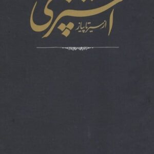 کتاب مستطاب آشپزی از سیر تا پیاز نجف دریابندری قیمت خرید با تخفیف