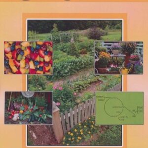 کتاب خلاصه دروس باغبانی قیمت خرید با تخفیف