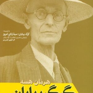 خرید کتاب گرگ بیابان هرمان هسه قیمت با تخفیف