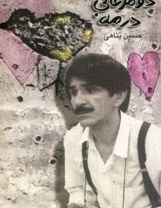 دو مرغابی در مه